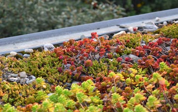 the cost of Hulme green roof installation